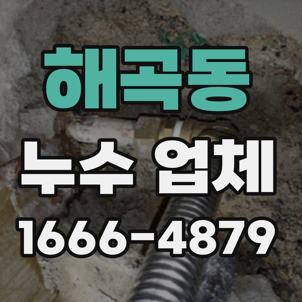 해곡동 누수 업체