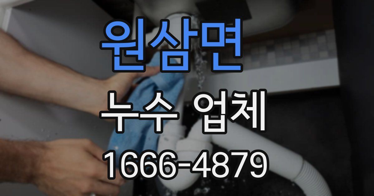 원삼면 누수 업체