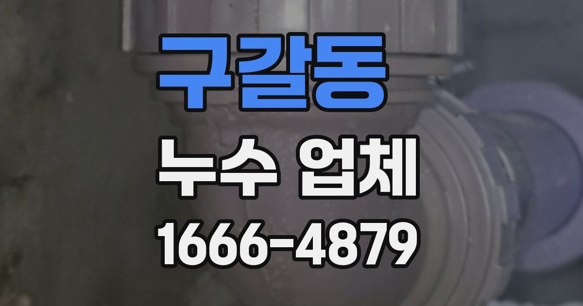 구갈동 누수 업체