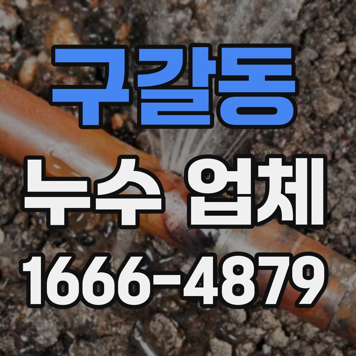 구갈동 누수 업체