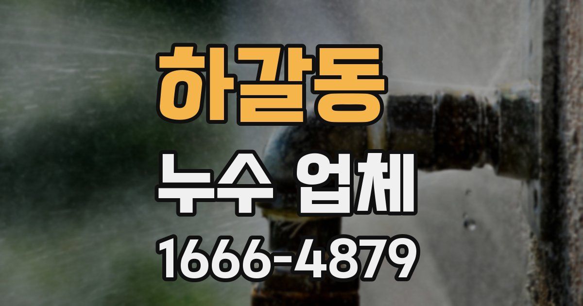 하갈동 누수 업체
