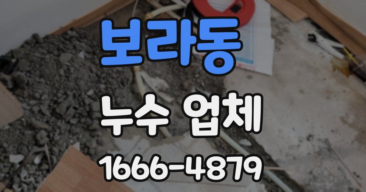 보라동 누수 업체