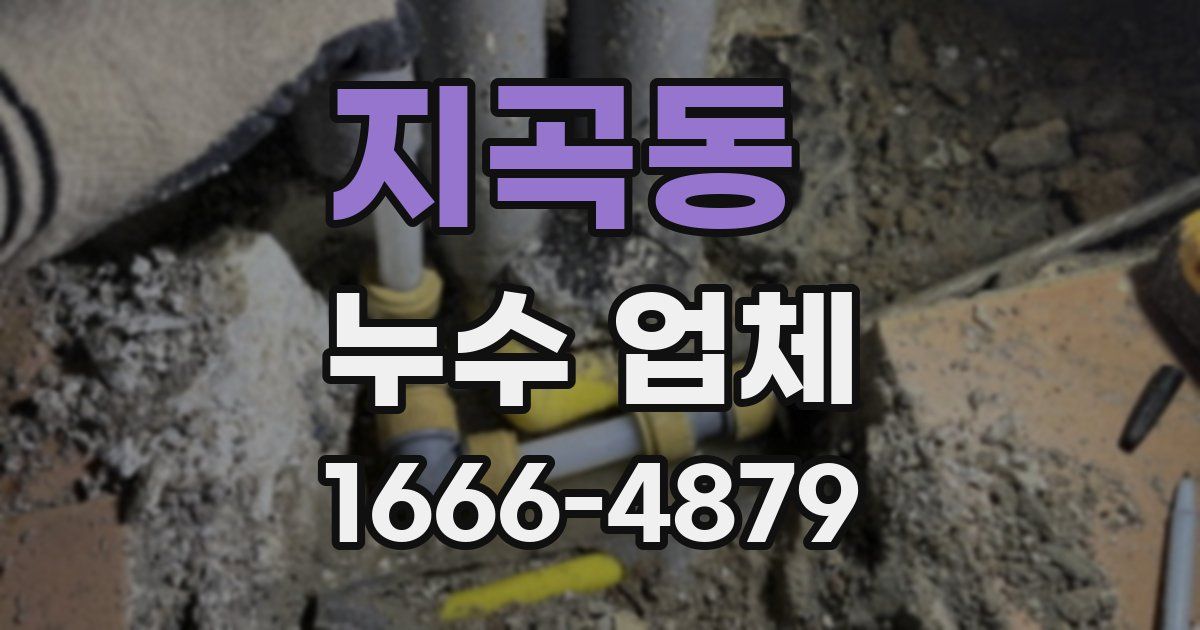지곡동 누수 업체