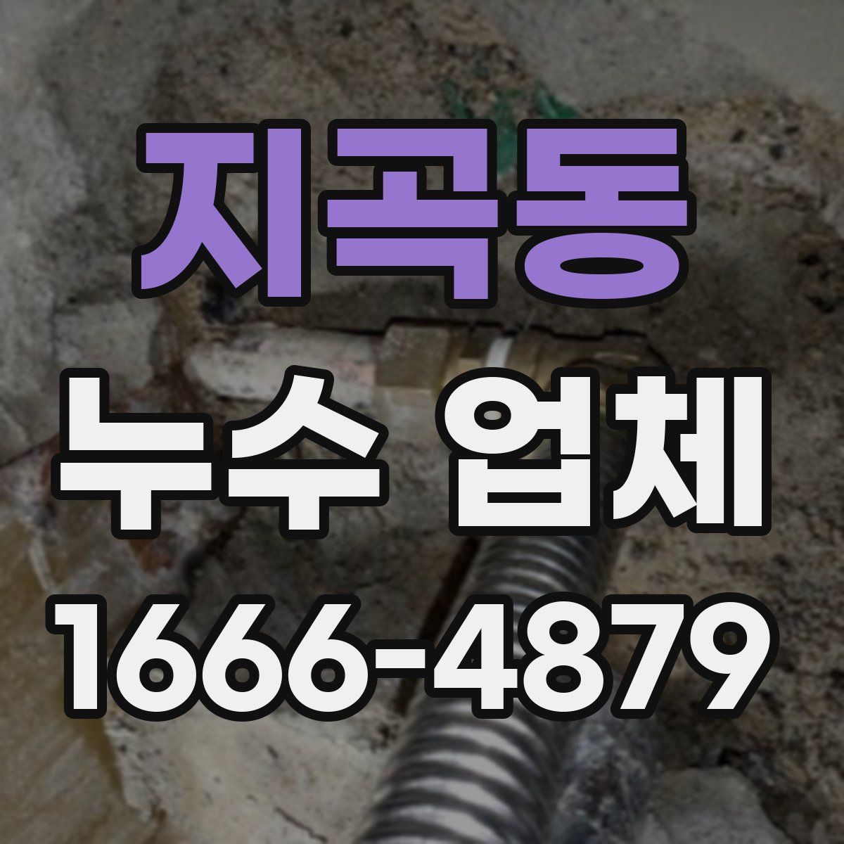 지곡동 누수 업체