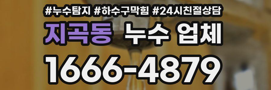지곡동 누수 업체