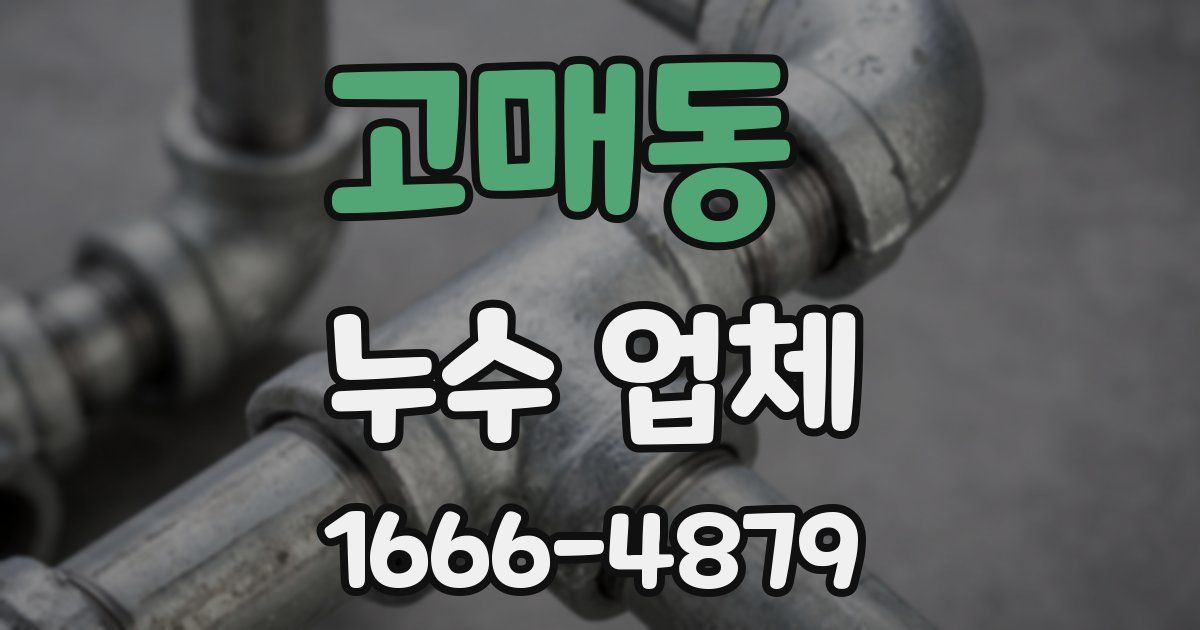 고매동 누수 업체