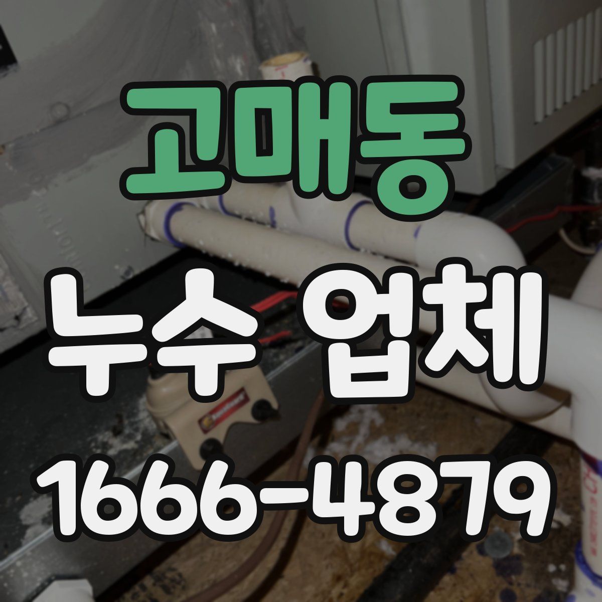 고매동 누수 업체