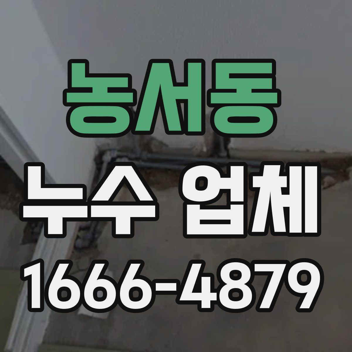 농서동 누수 업체