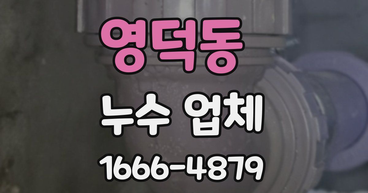 영덕동 누수 업체