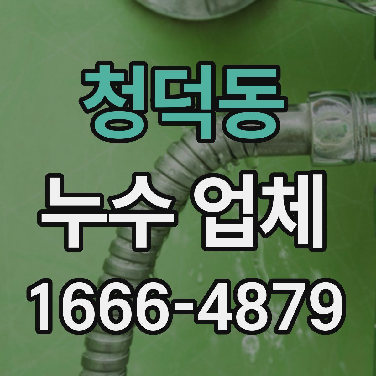 청덕동 누수 업체