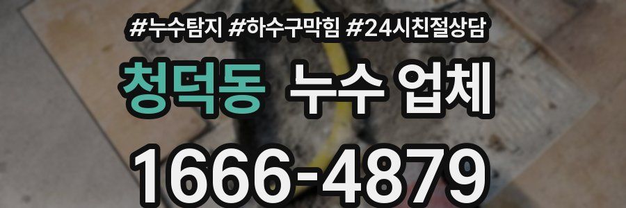 청덕동 누수 업체