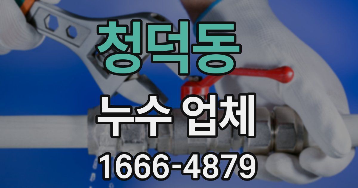 청덕동 누수 업체