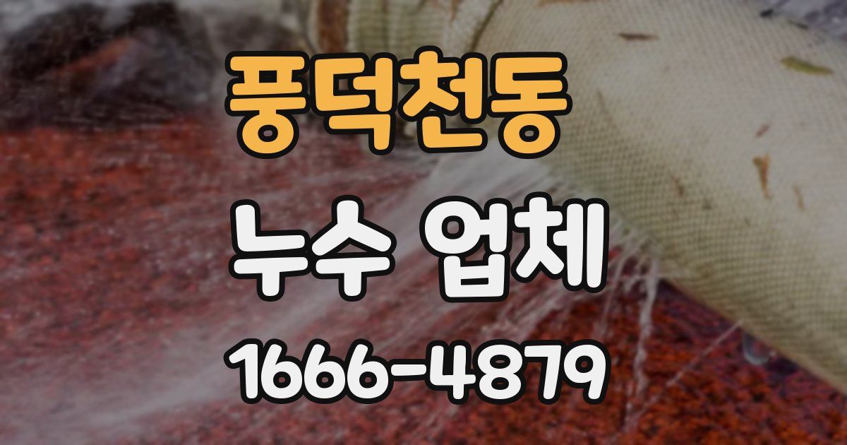 풍덕천동 누수 업체