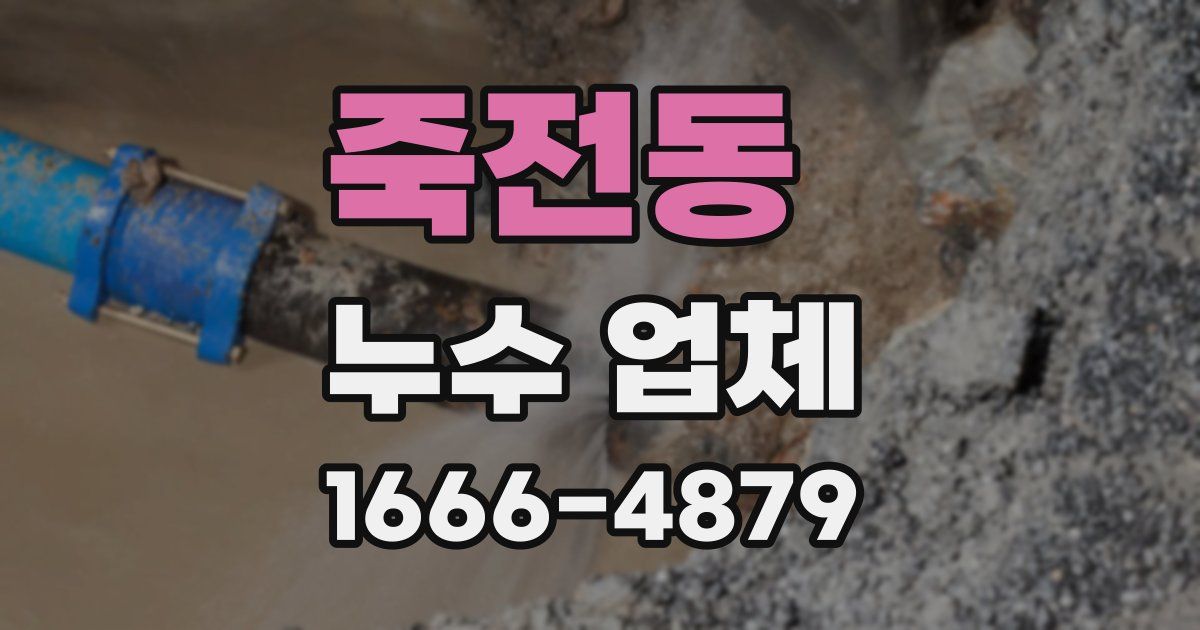 죽전동 누수 업체