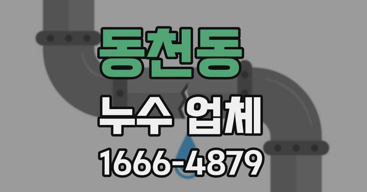 동천동 누수 업체