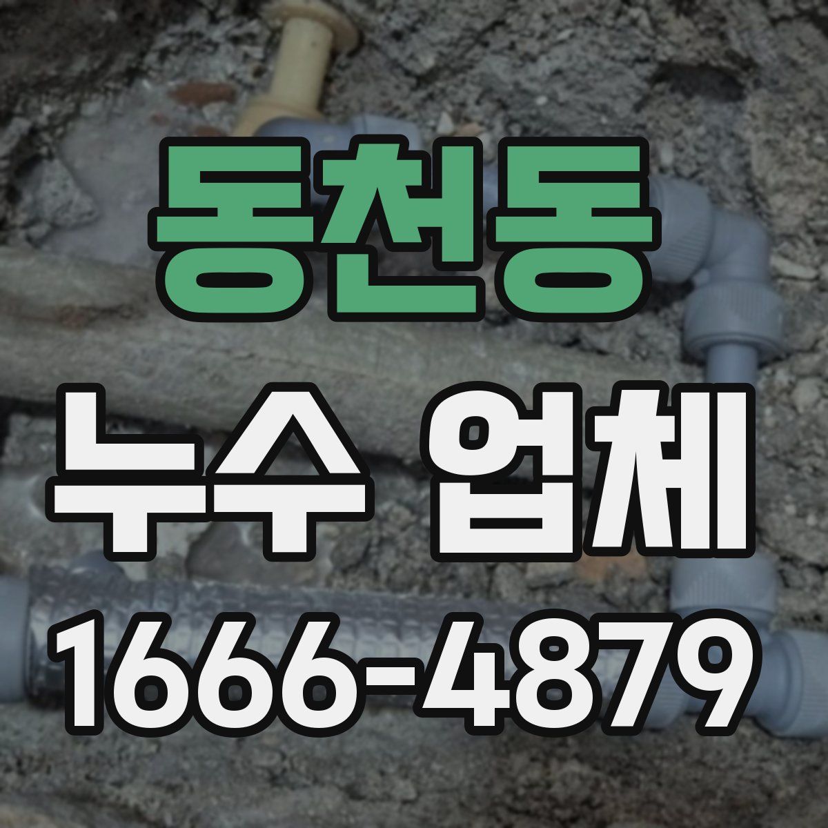 동천동 누수 업체