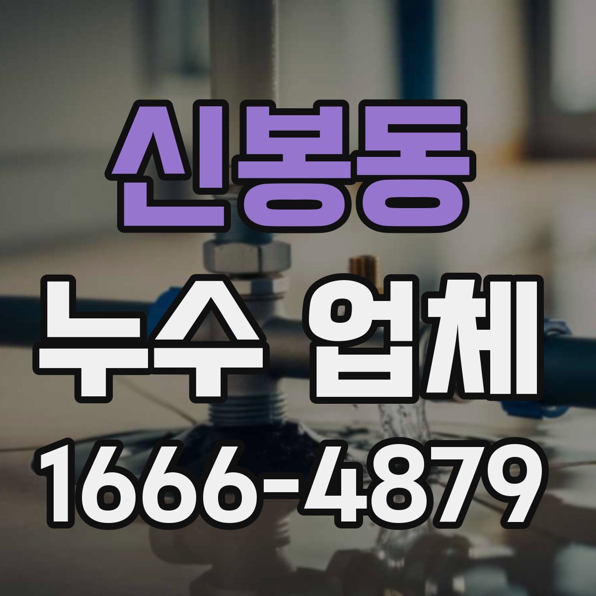 신봉동 누수 업체