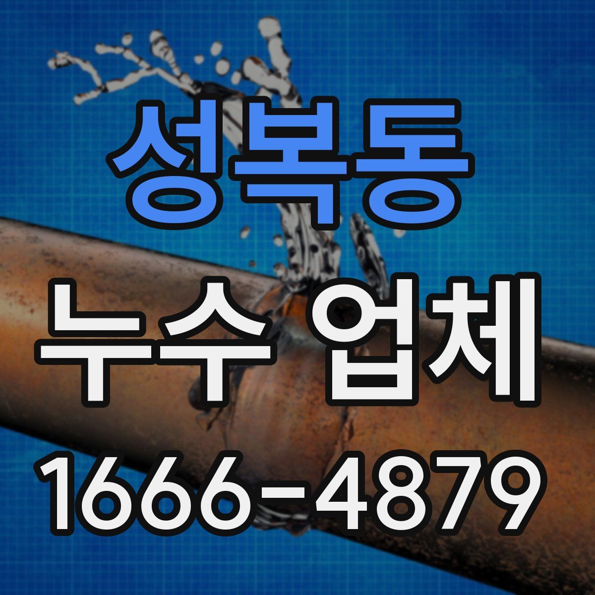 성복동 누수 업체