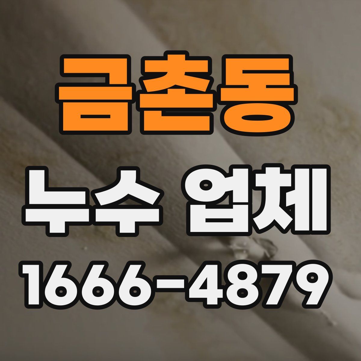 금촌동 누수 업체