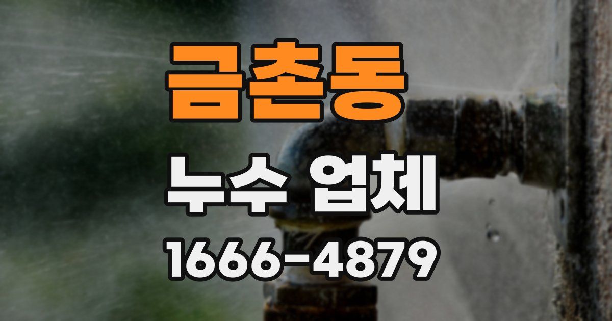 금촌동 누수 업체