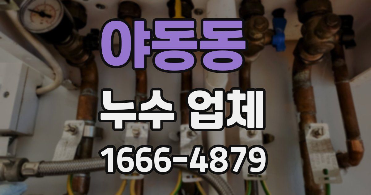 야동동 누수 업체