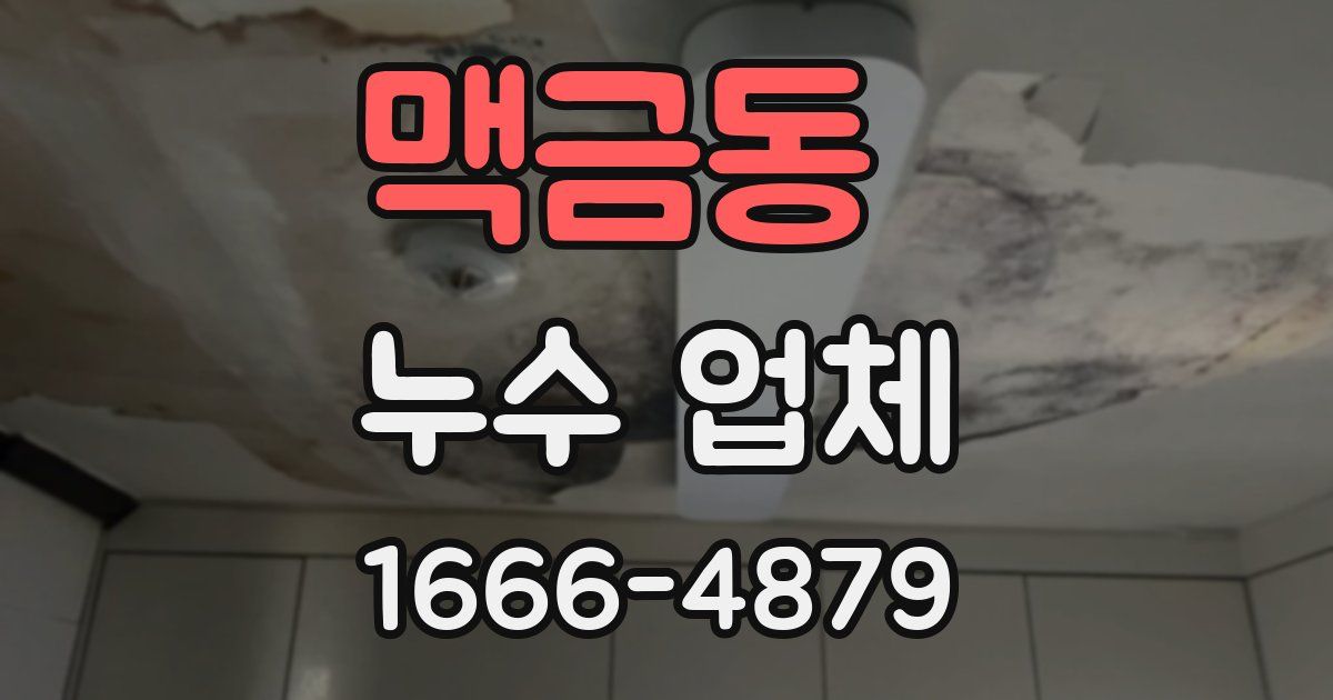 맥금동 누수 업체