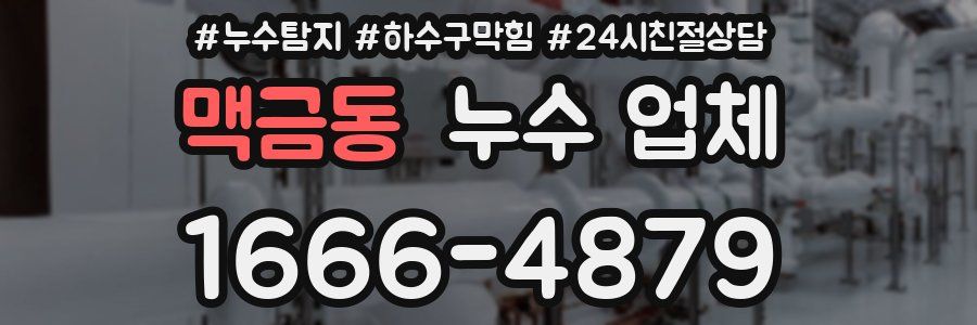 맥금동 누수 업체