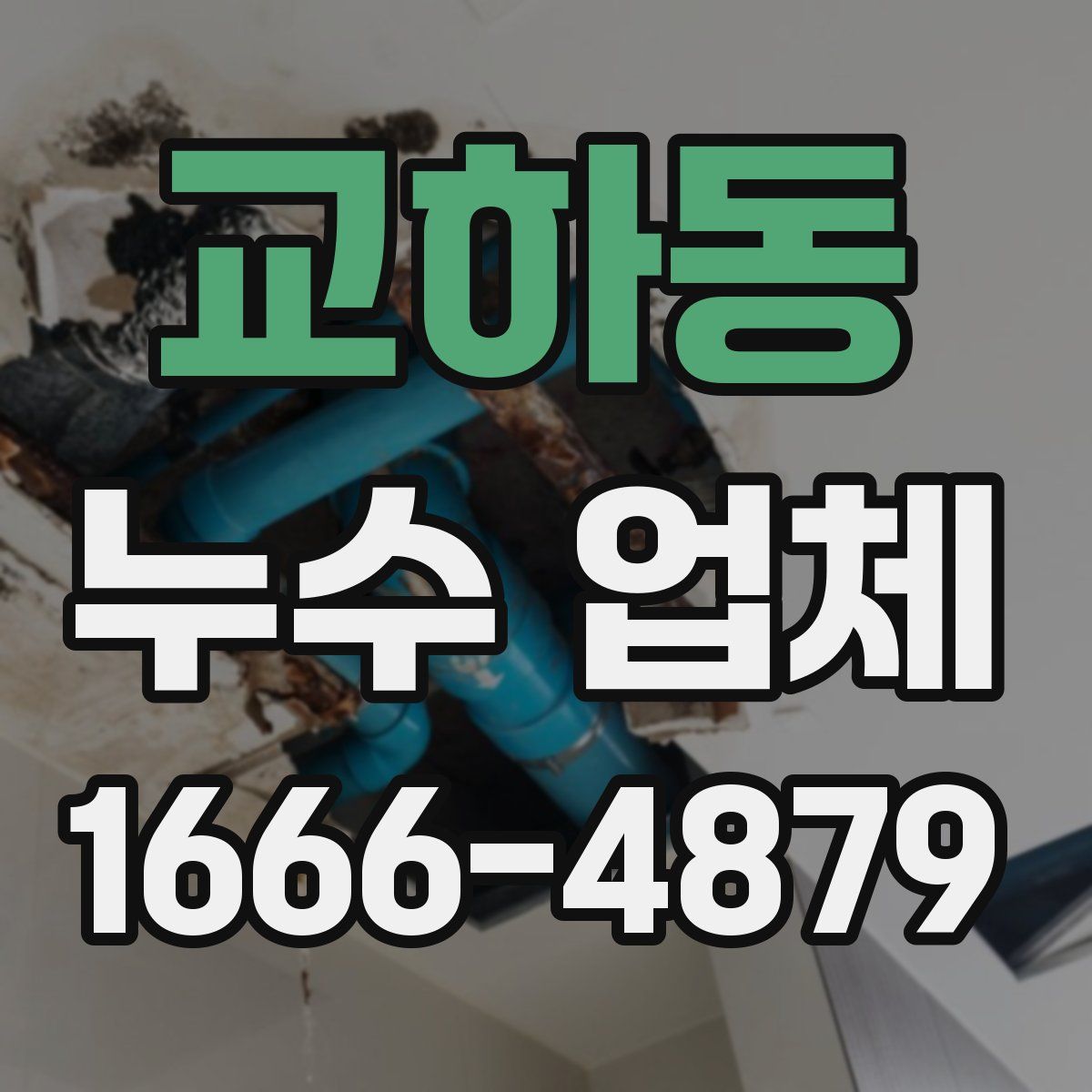 교하동 누수 업체