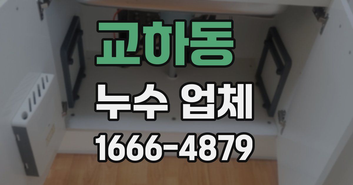 교하동 누수 업체