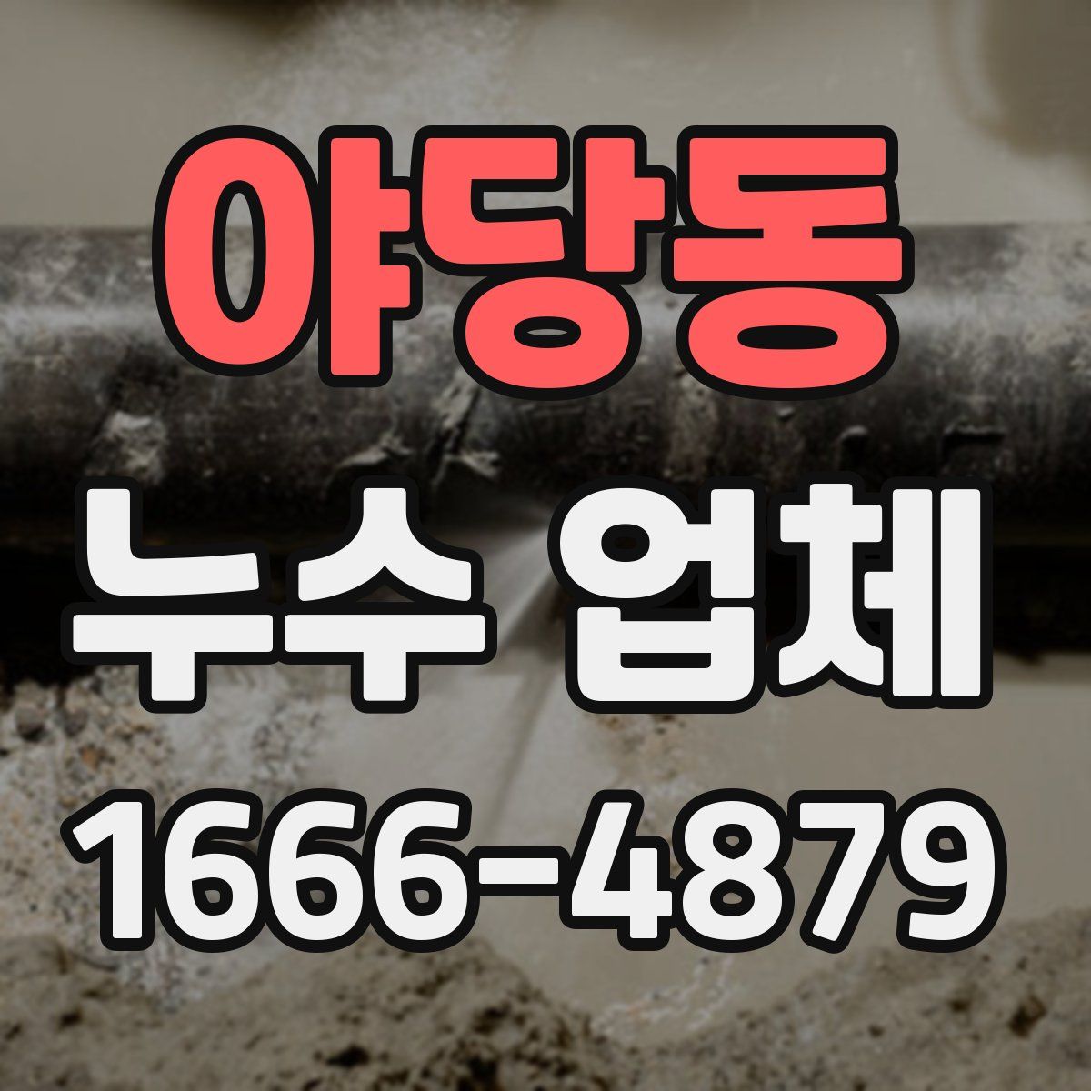 야당동 누수 업체