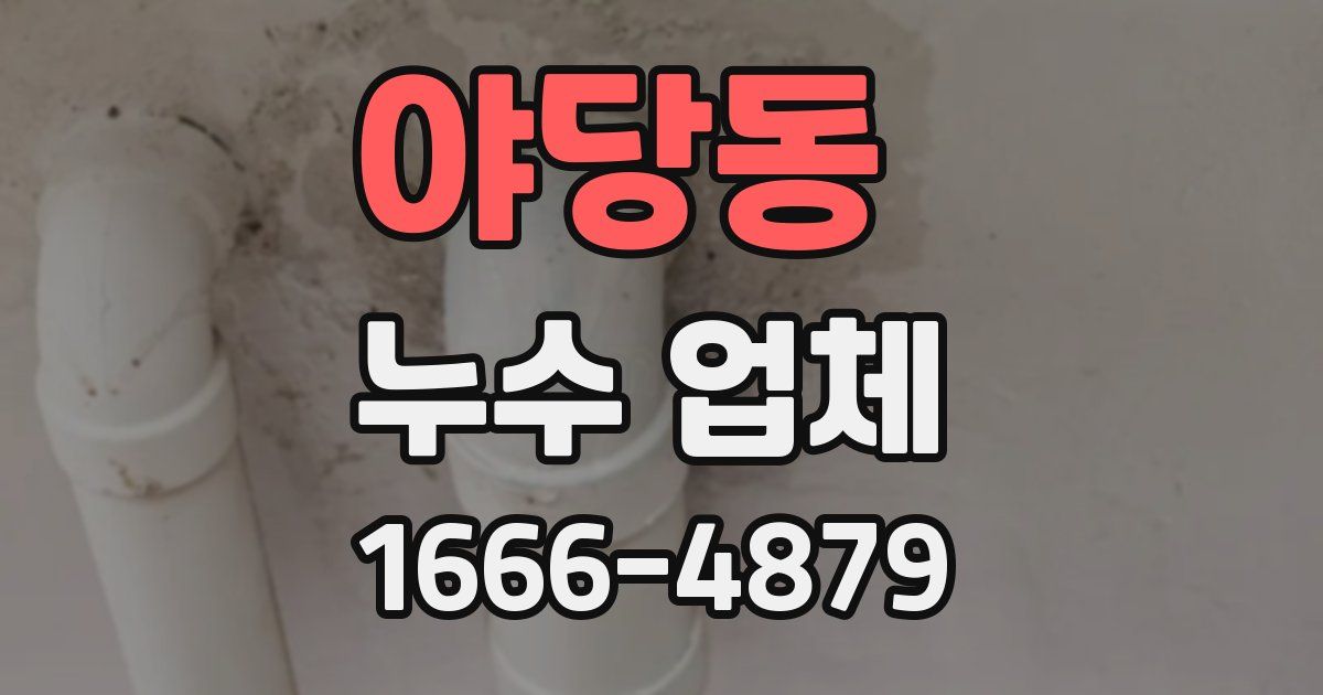 야당동 누수 업체