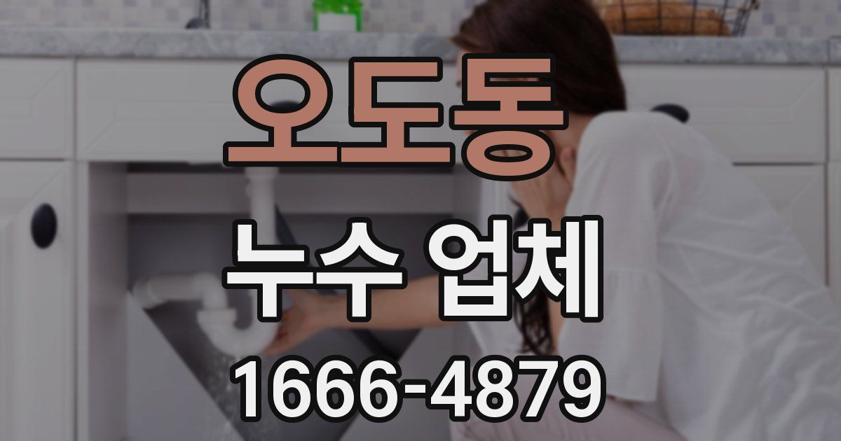오도동 누수 업체