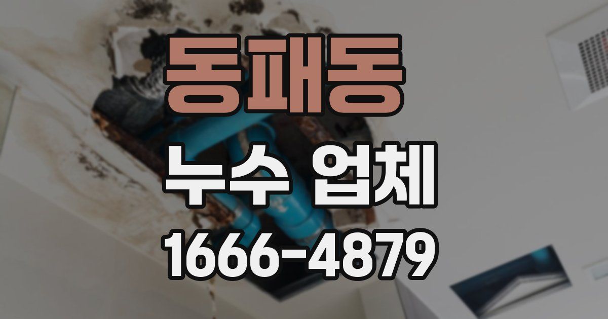 동패동 누수 업체