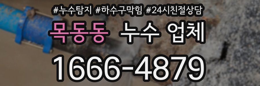 목동동 누수 업체