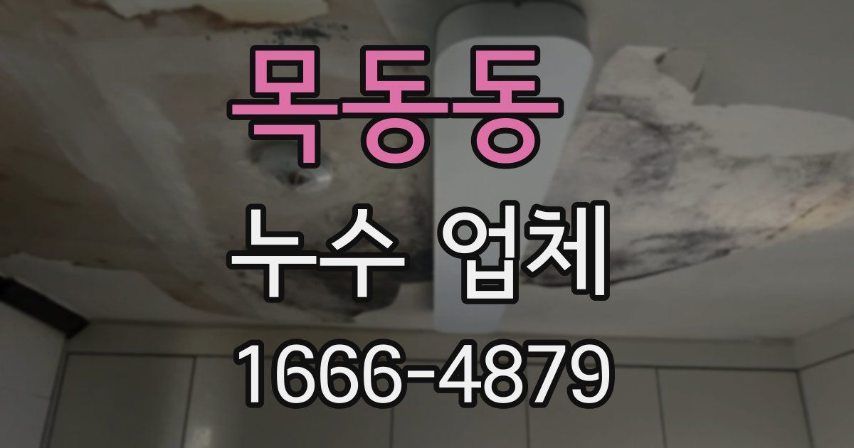목동동 누수 업체