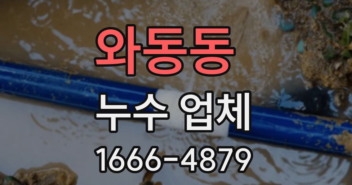 와동동 누수 업체