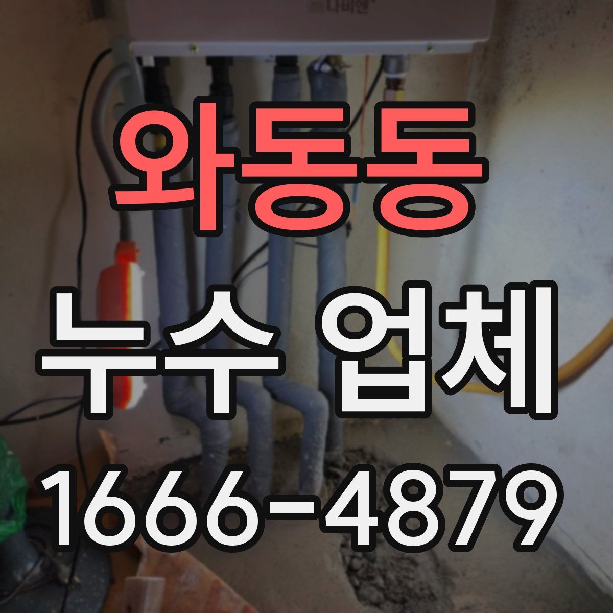 와동동 누수 업체