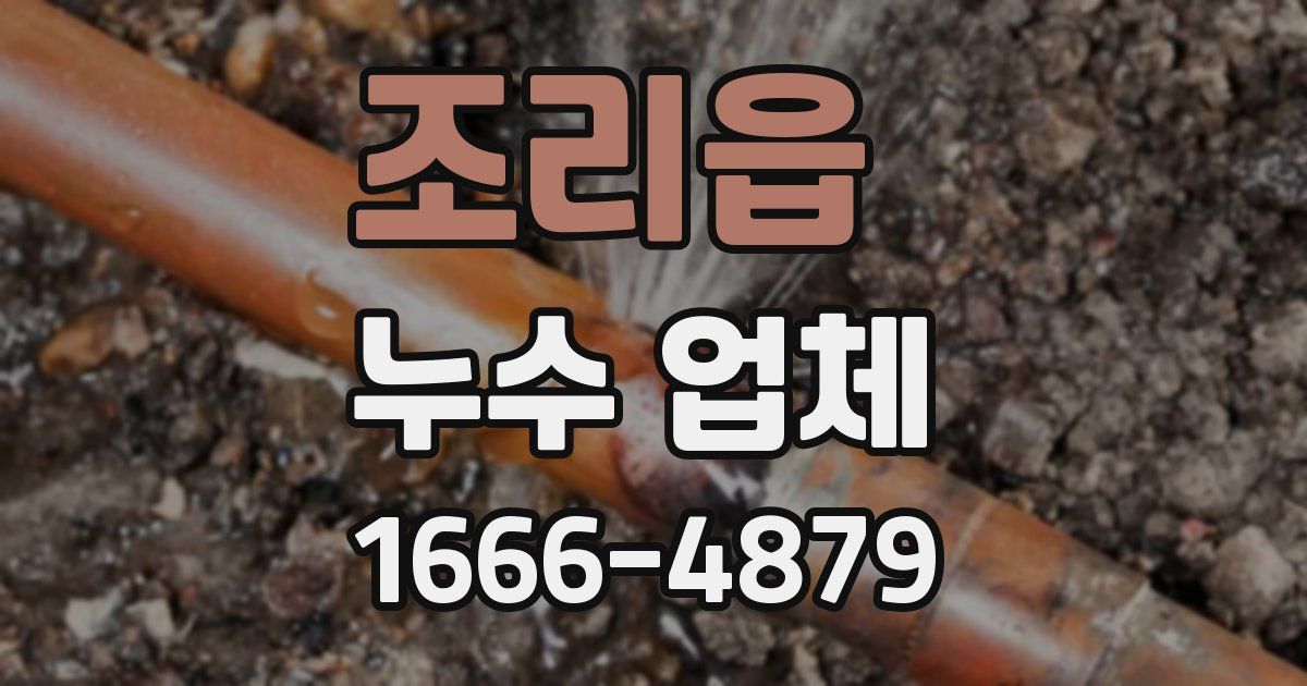 조리읍 누수 업체