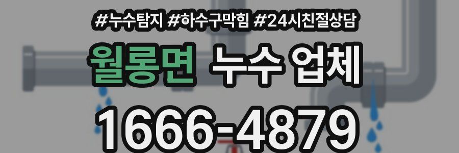 월롱면 누수 업체