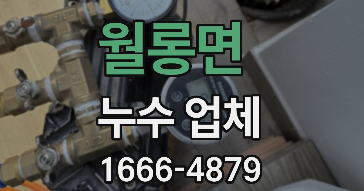 월롱면 누수 업체