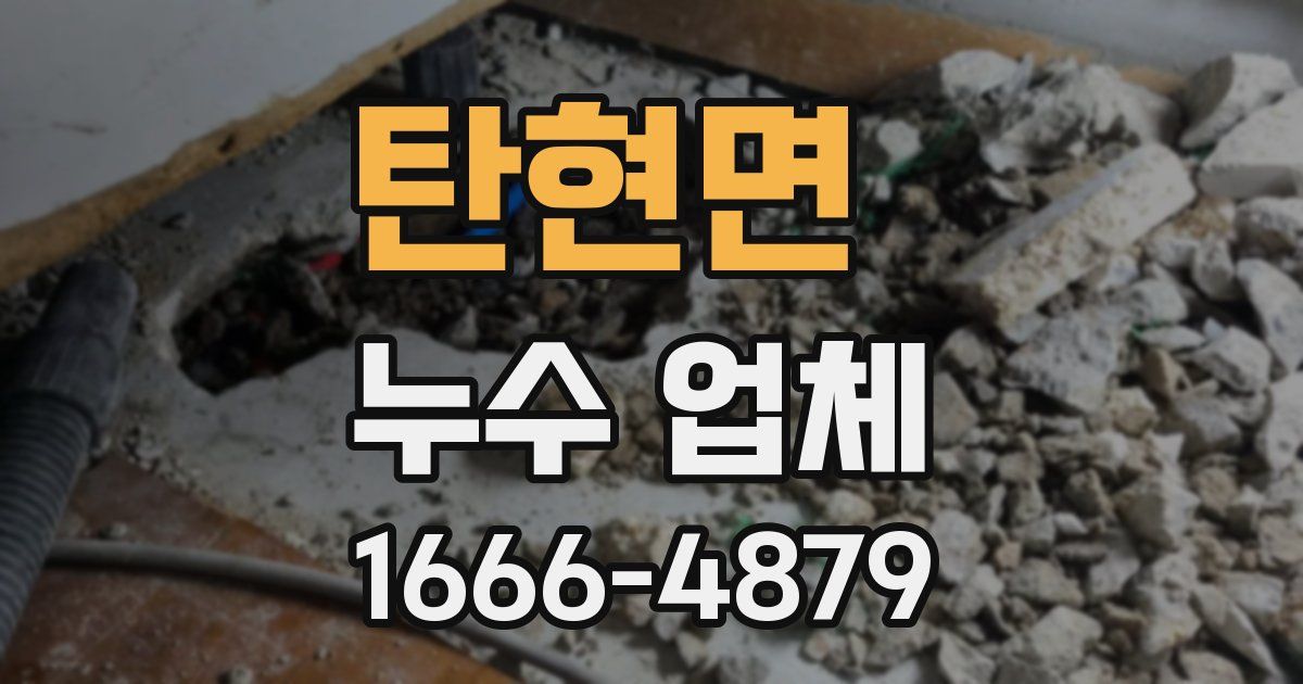 탄현면 누수 업체