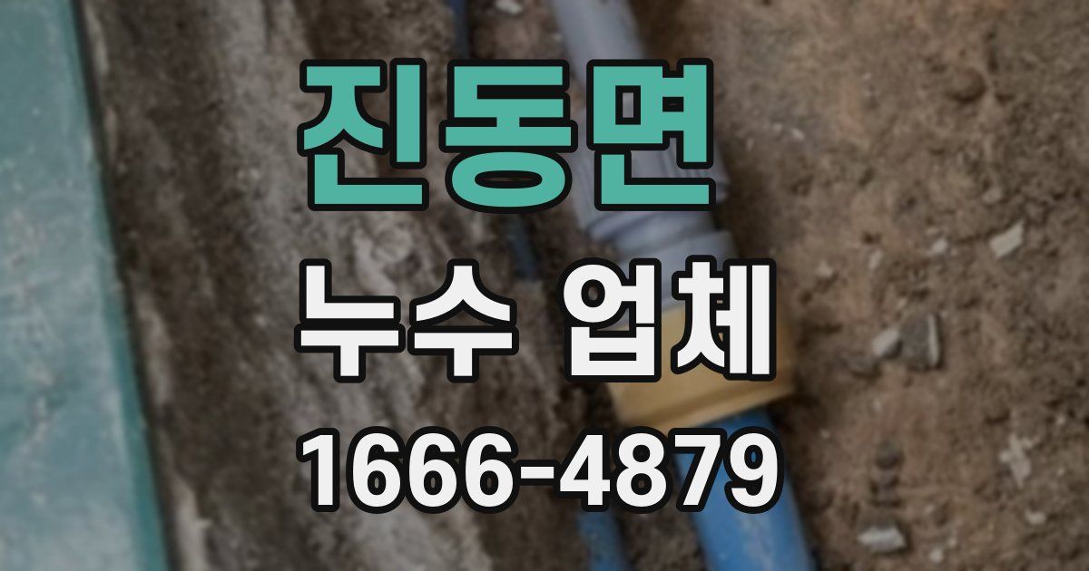 진동면 누수 업체