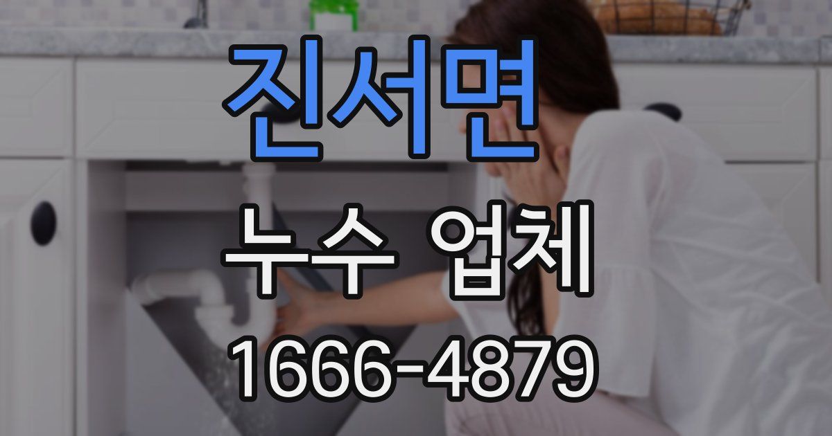 진서면 누수 업체