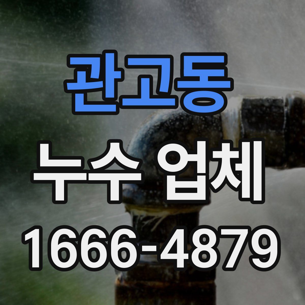 관고동 누수 업체