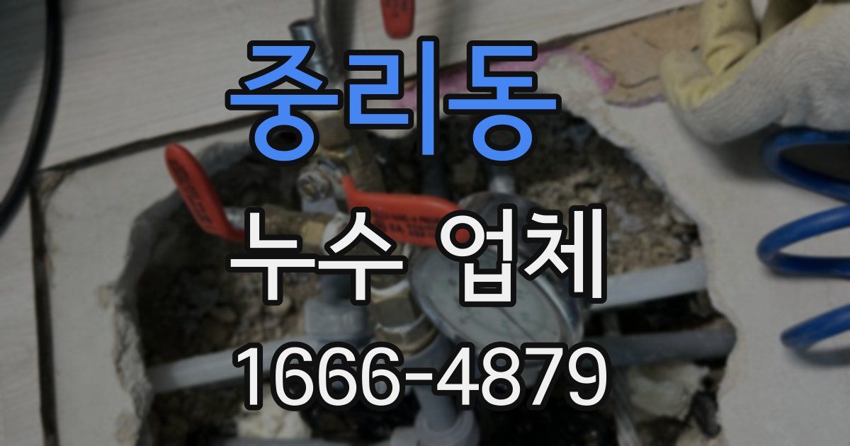 중리동 누수 업체