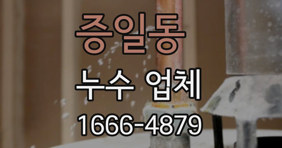 증일동 누수 업체