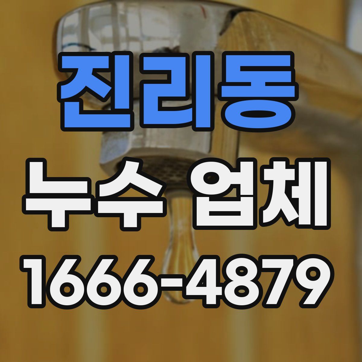 진리동 누수 업체