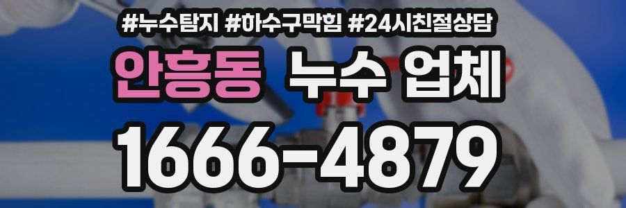 안흥동 누수 업체