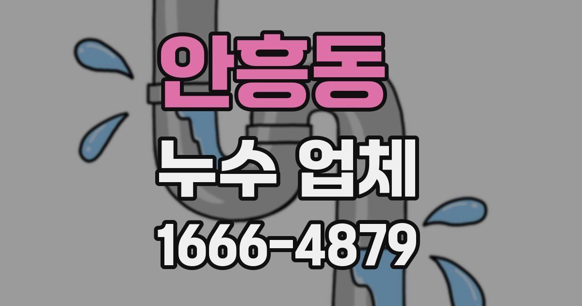 안흥동 누수 업체