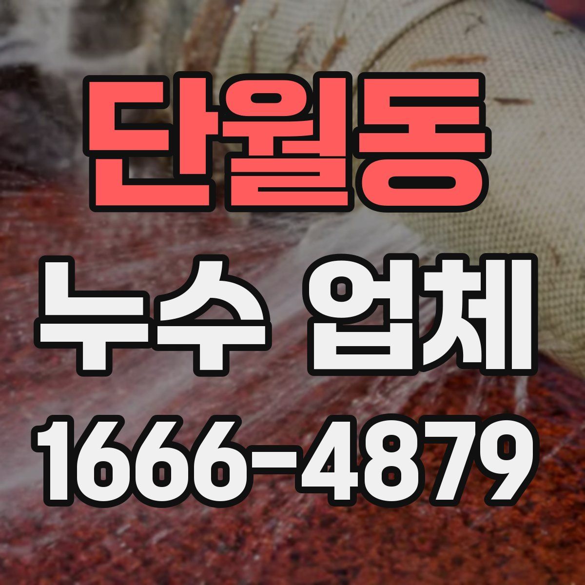단월동 누수 업체